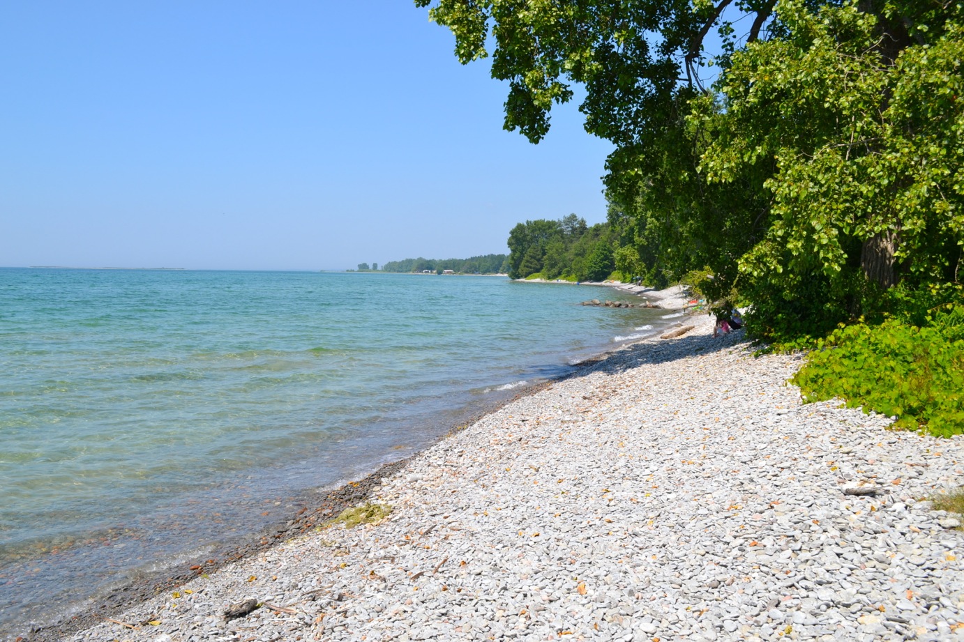 DSC_0001-blog