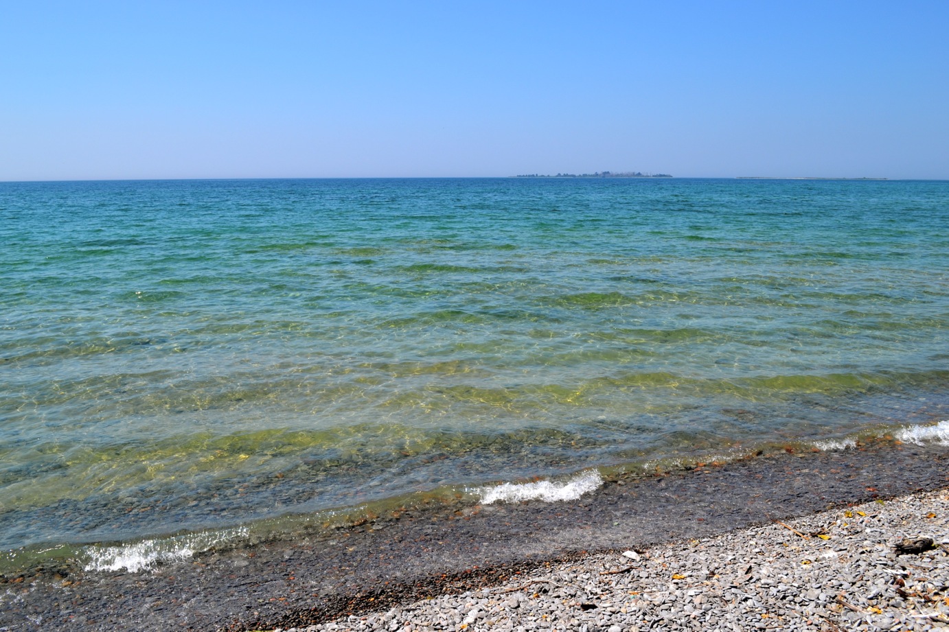 DSC_0002-blog