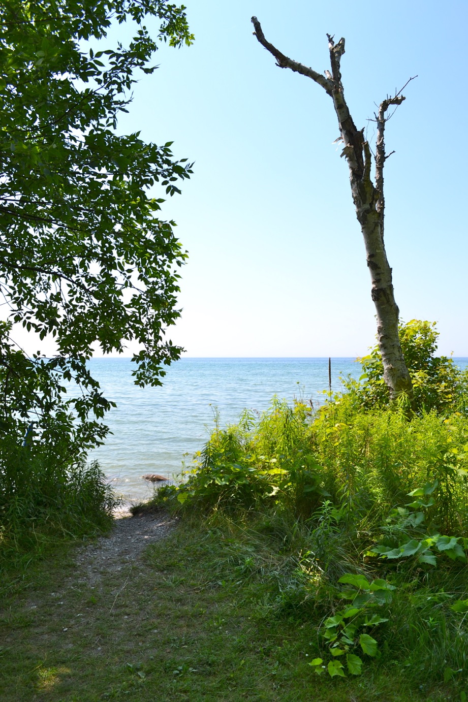 DSC_0005-blog