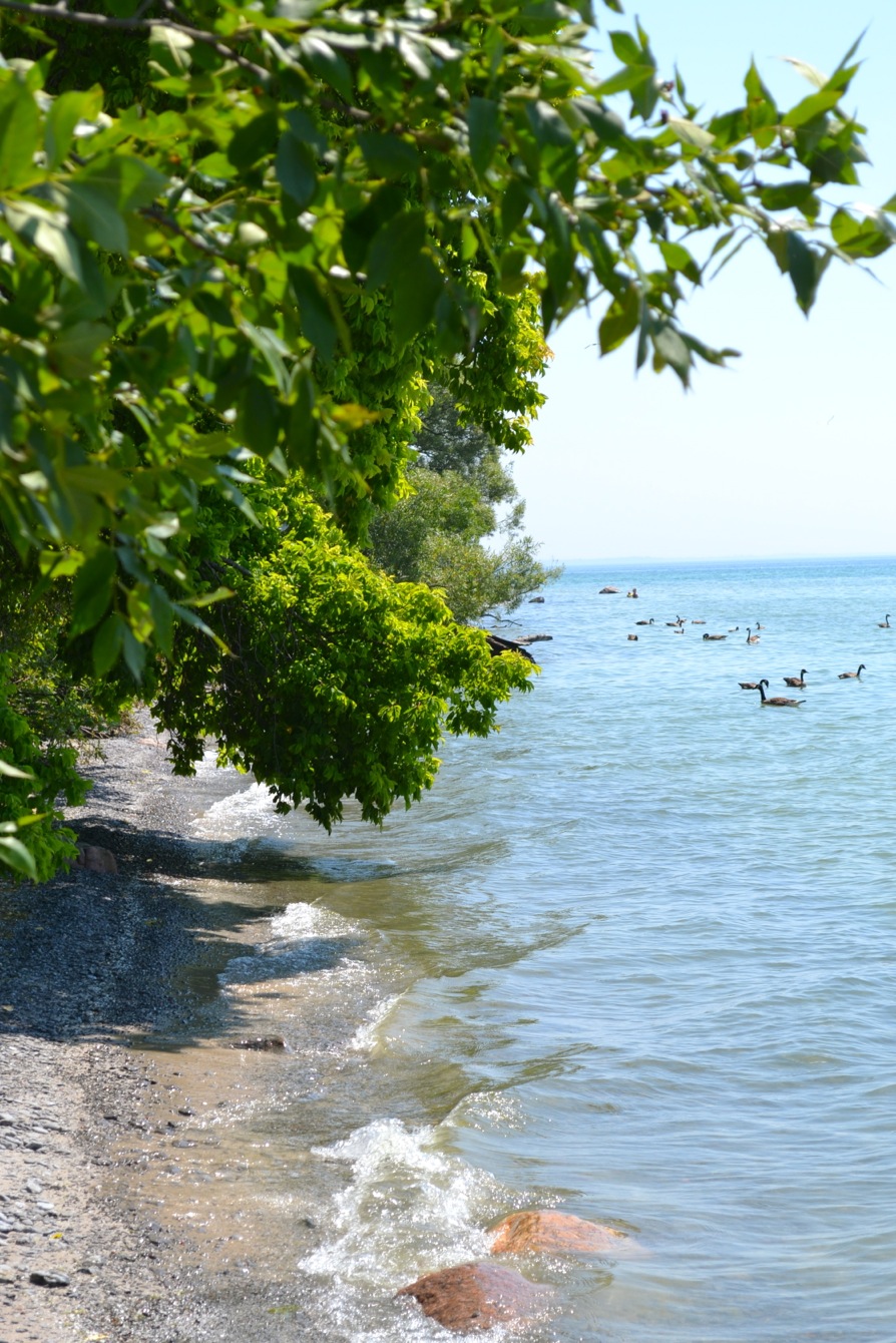 DSC_0015-blog