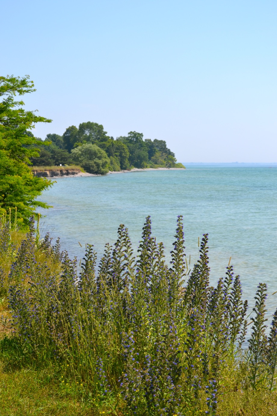 DSC_0020-blog