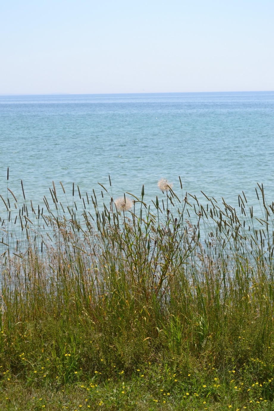 DSC_0025-blog