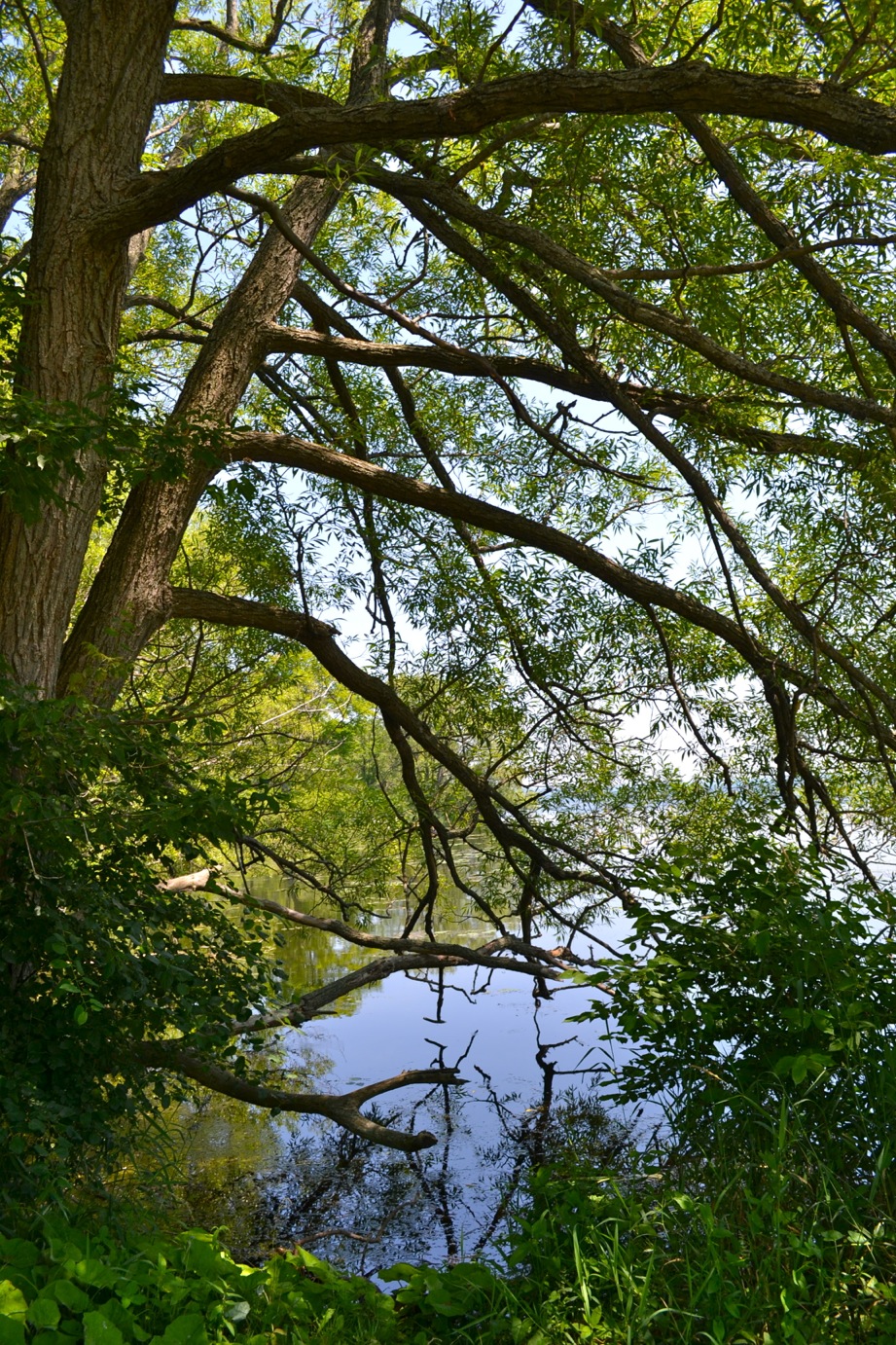 DSC_0044-blog