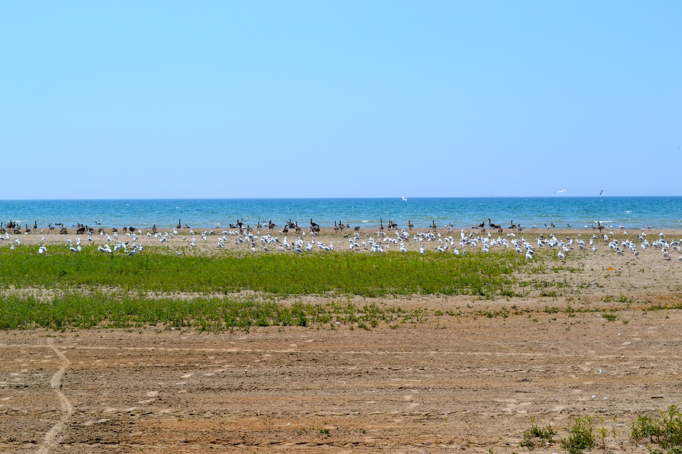 DSC_0048-blog