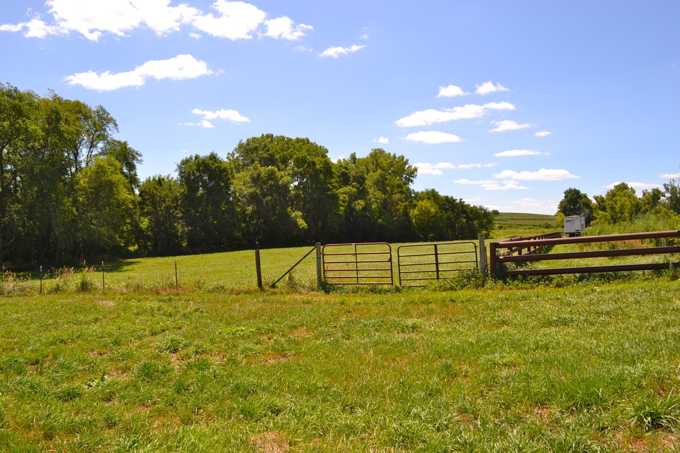 DSC_0064-blog