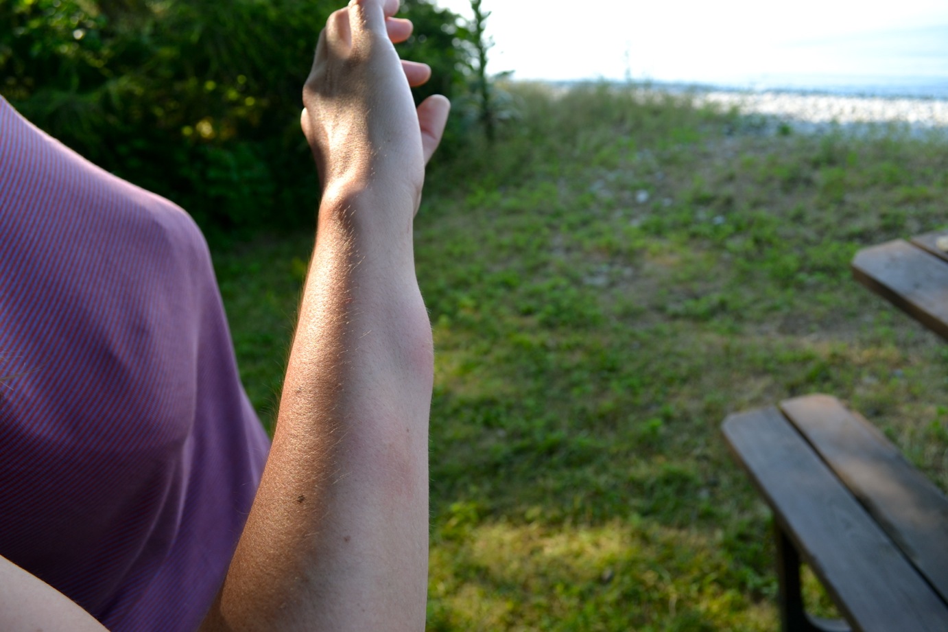 DSC_0105-blog
