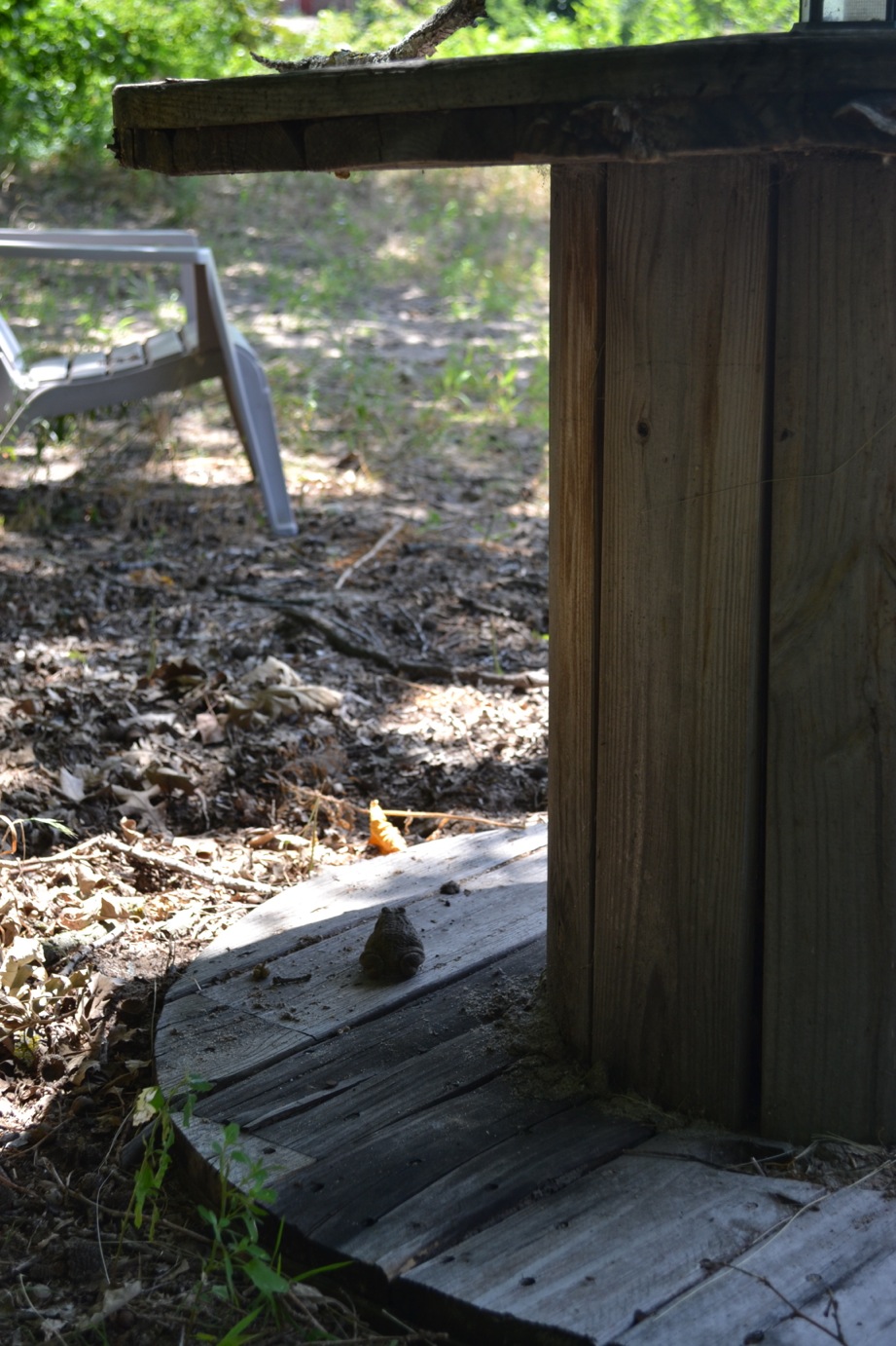 DSC_0162-blog