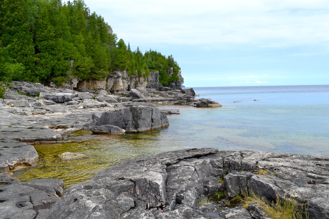 DSC_0164-blog