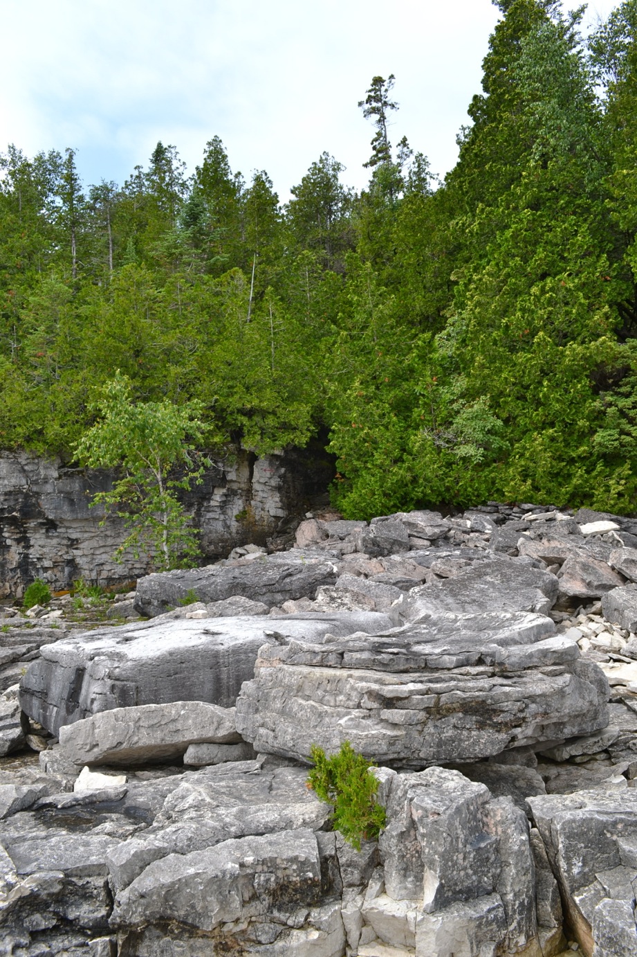 DSC_0174-blog