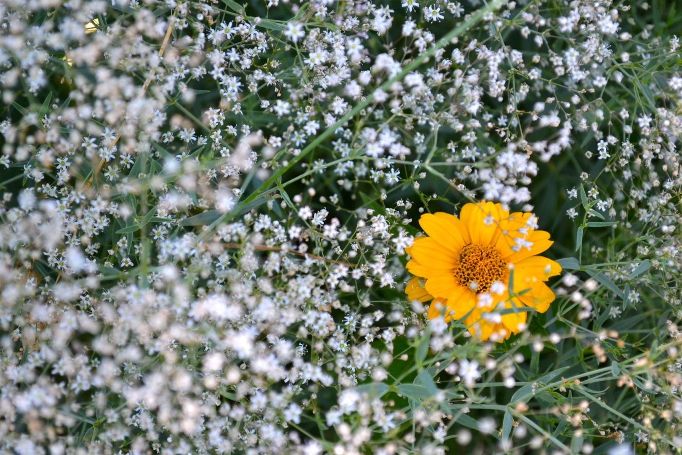 DSC_0473-blog