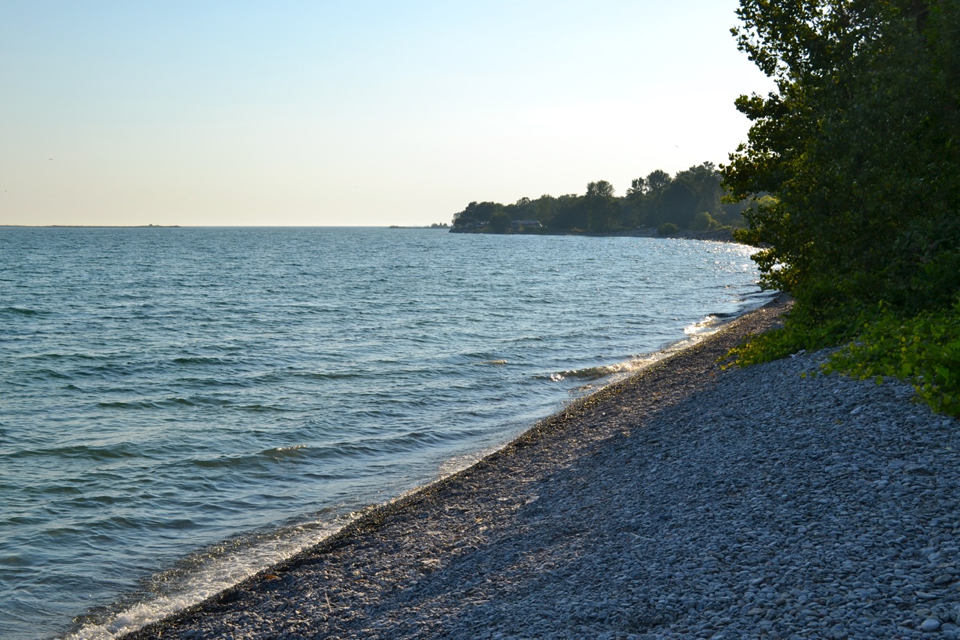 DSC_0560-blog