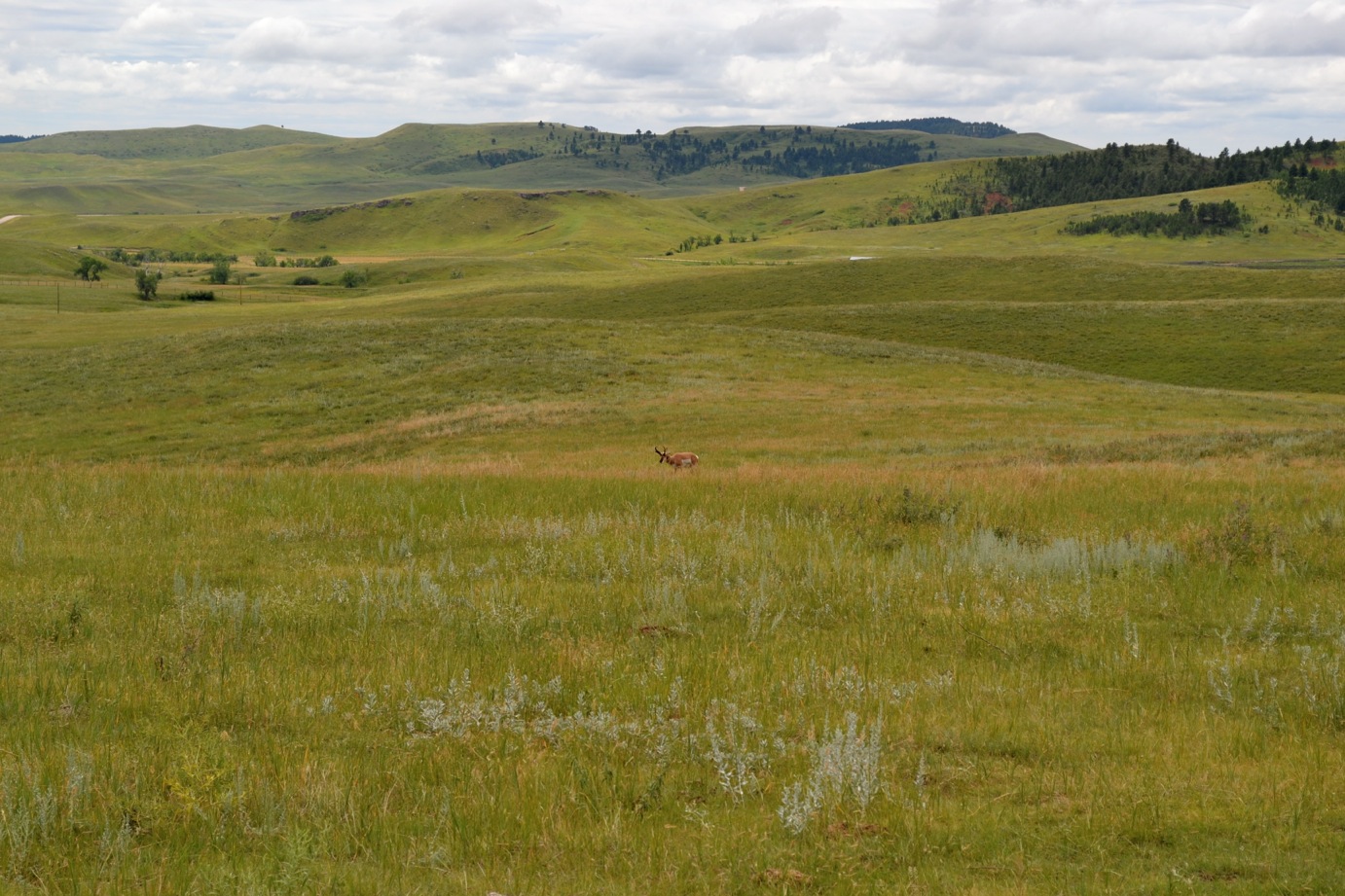 DSC_0005-blog