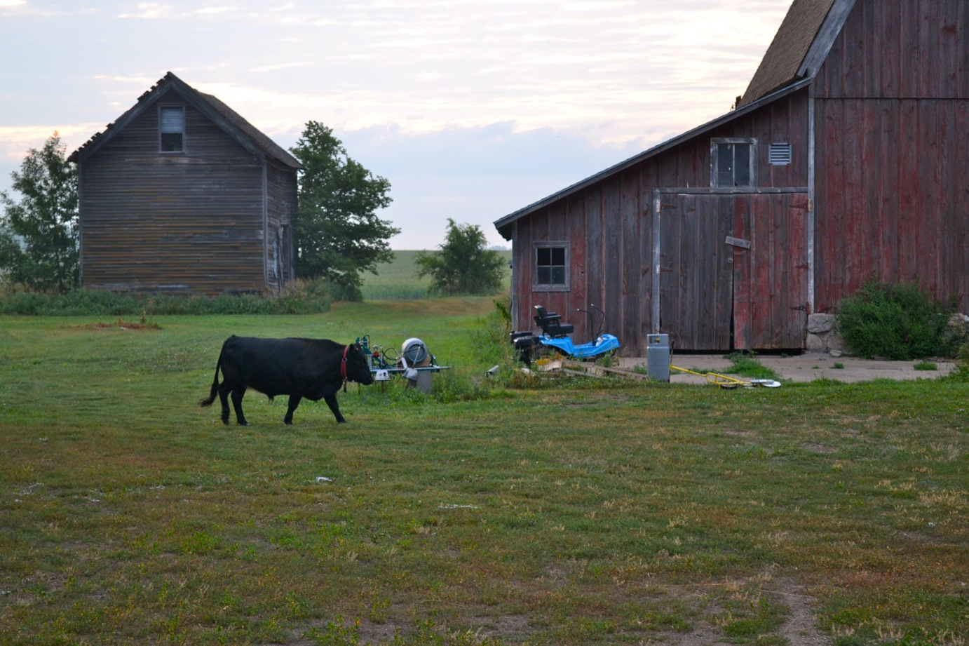 DSC_0040-blog
