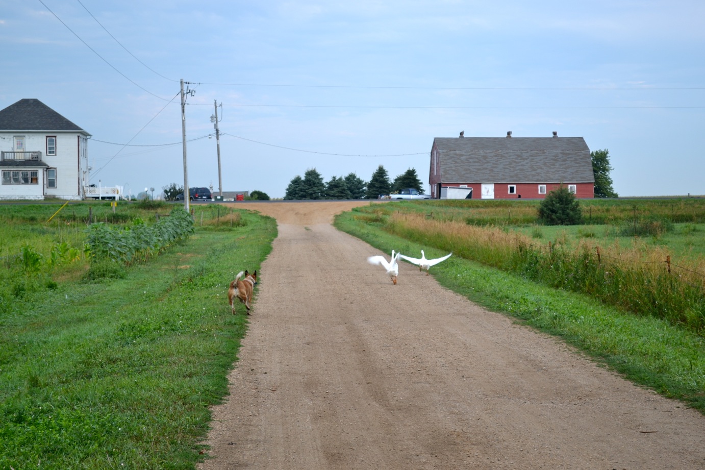 DSC_0062-blog