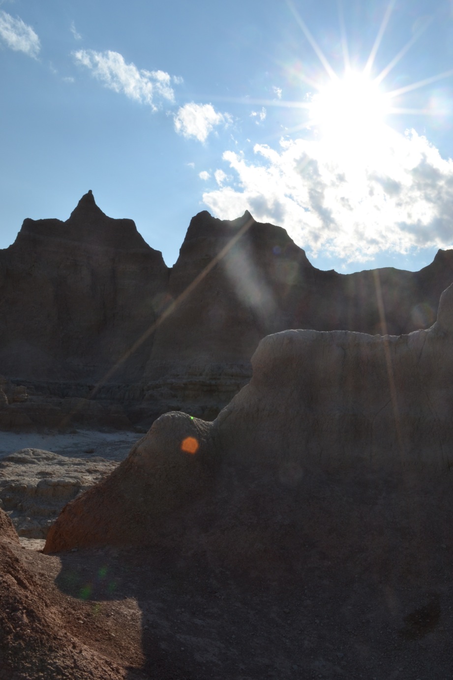 DSC_0203-blog