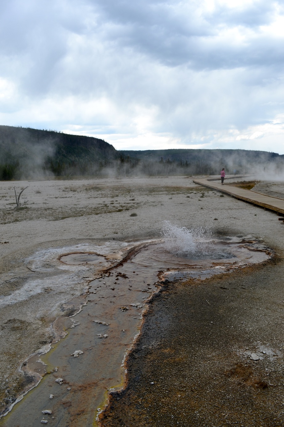 DSC_0300-blog