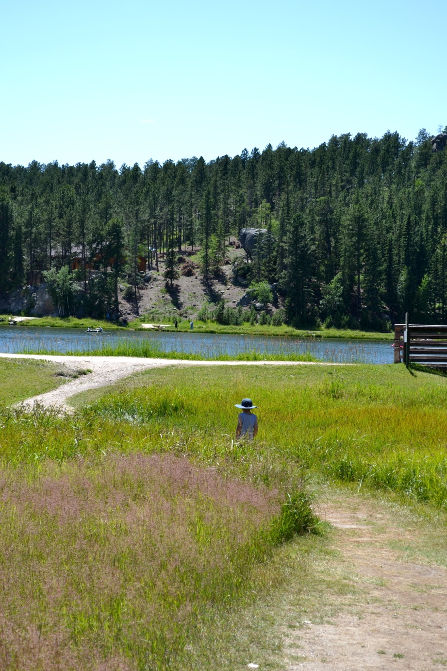 DSC_0330-blog