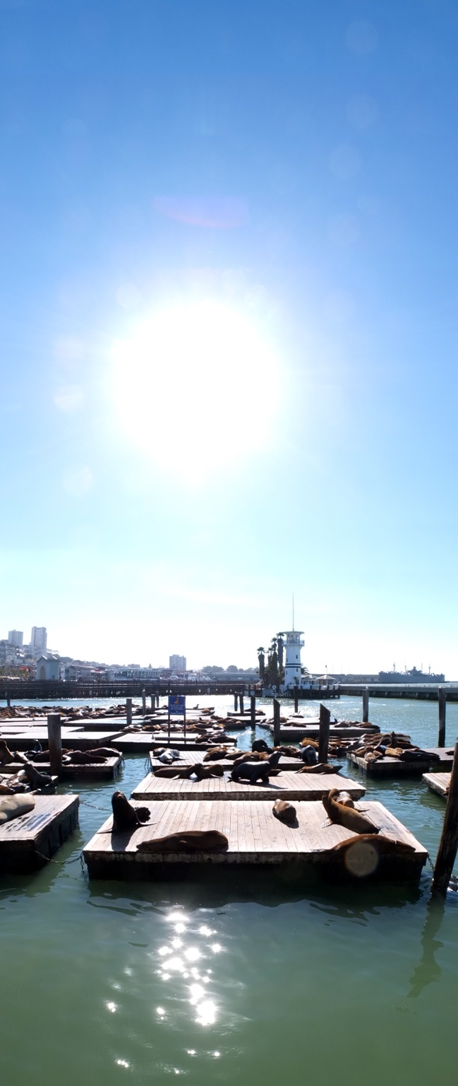 DSCF3644-blog