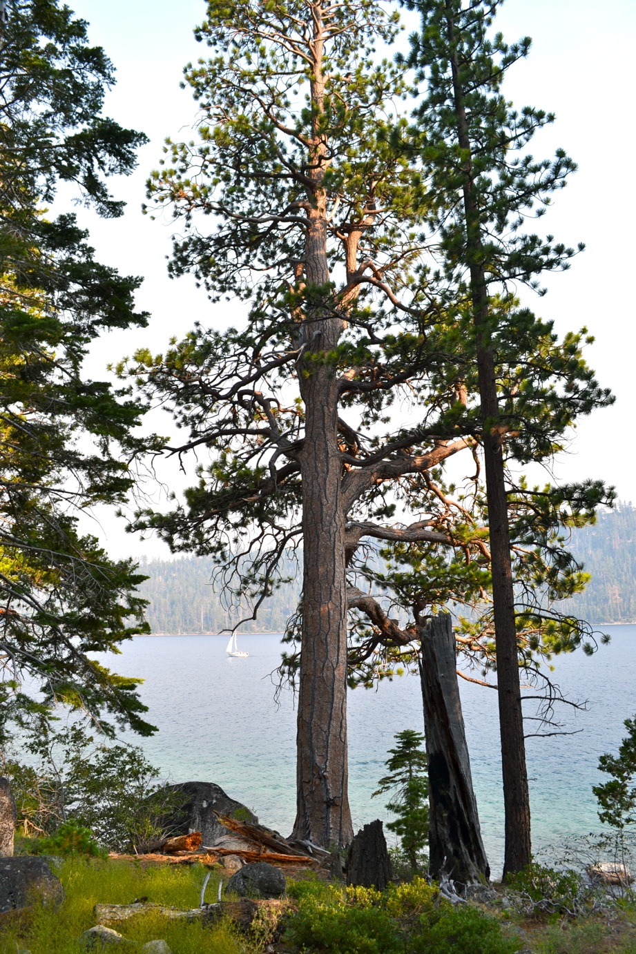 DSC_0129-blog