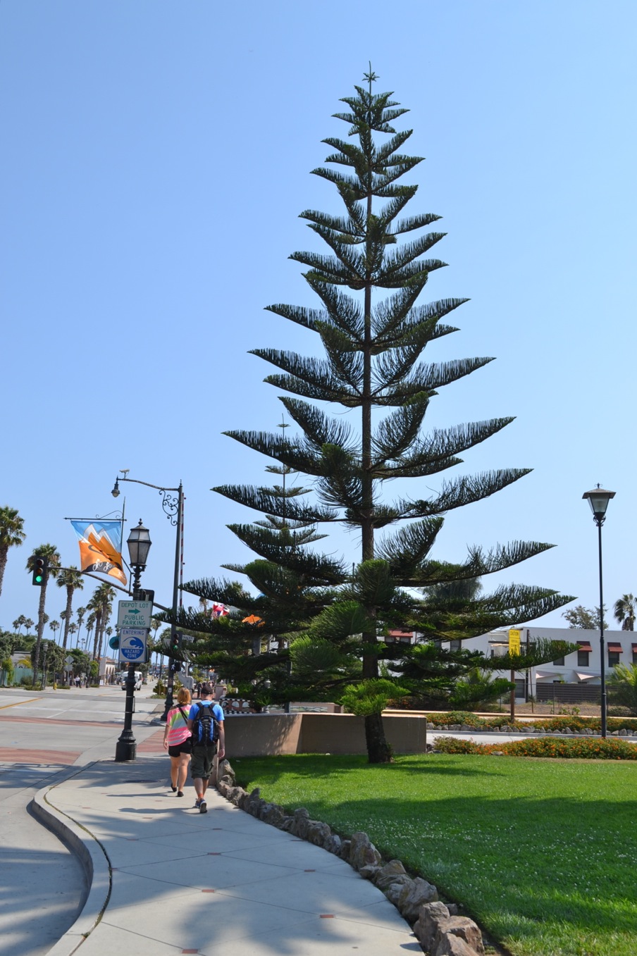 DSC_0415-blog