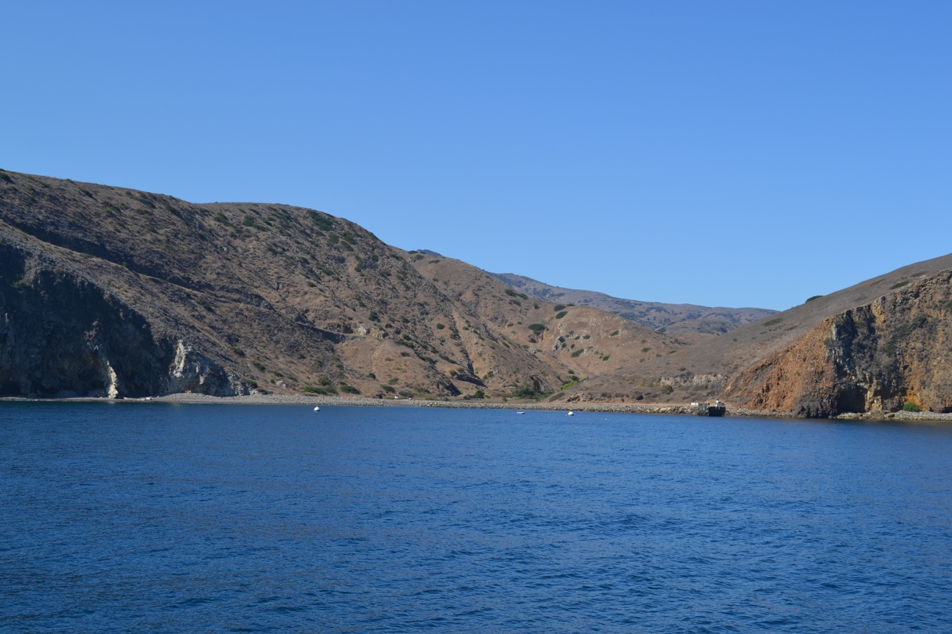 DSC_0491-blog