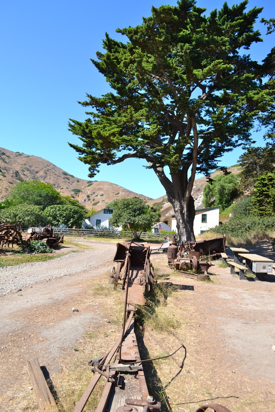 DSC_0509-blog