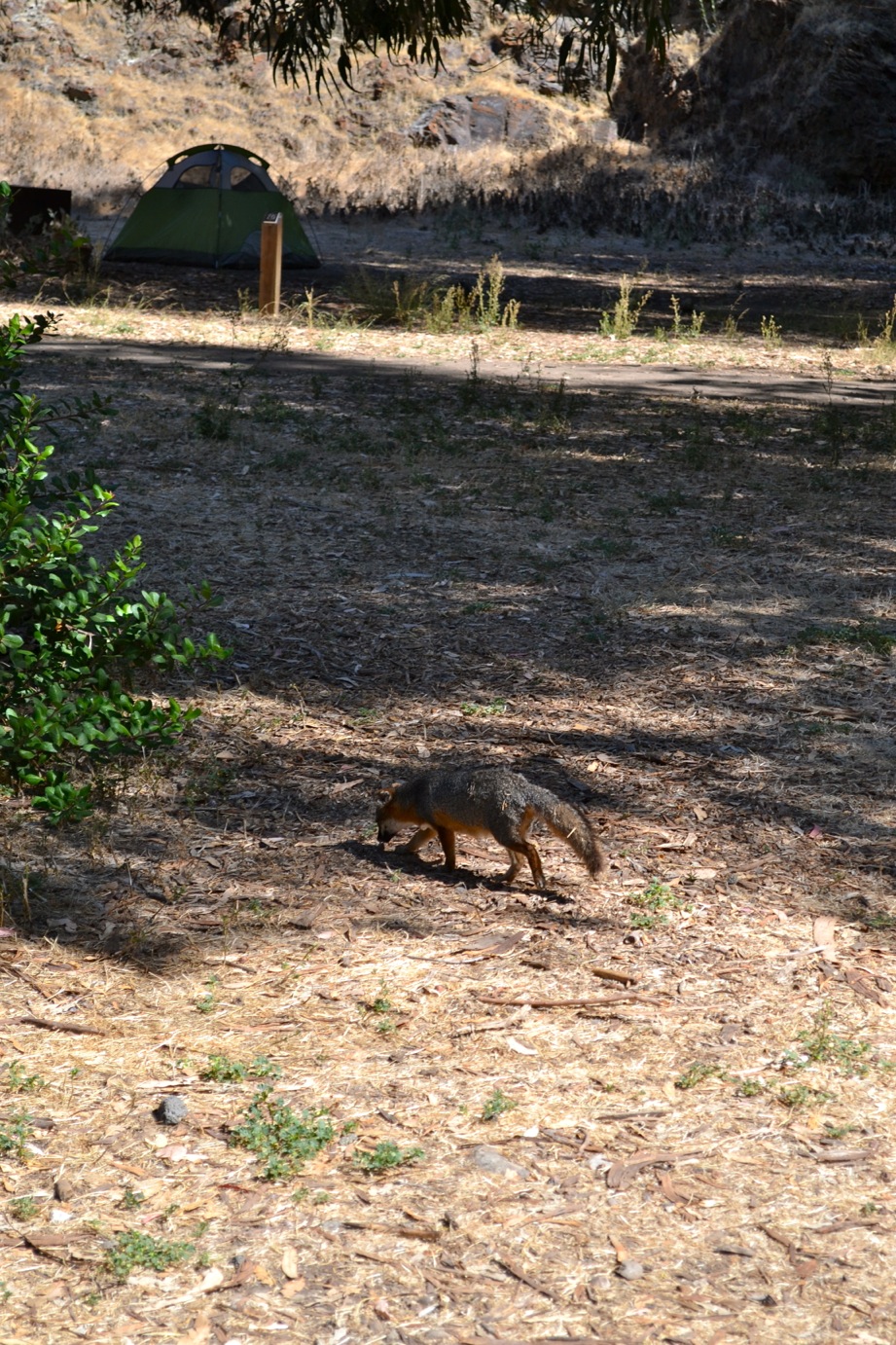 DSC_0530-blog