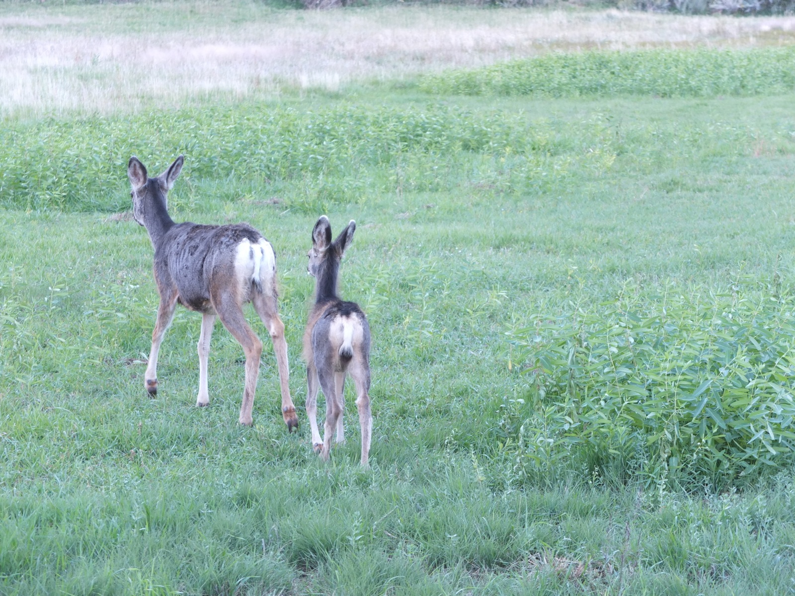 DSCF4926-blog