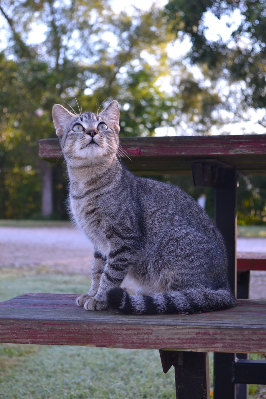 DSC_0007-blog