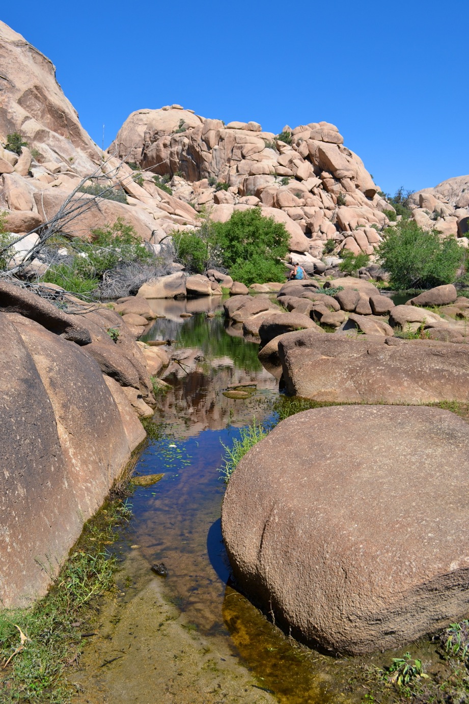 DSC_0014_2-blog