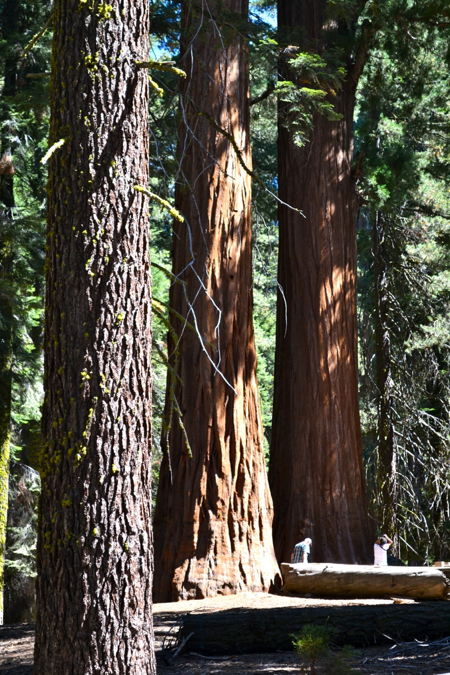DSC_0022_2-blog