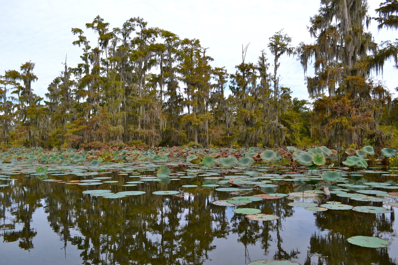 DSC_0026-blog
