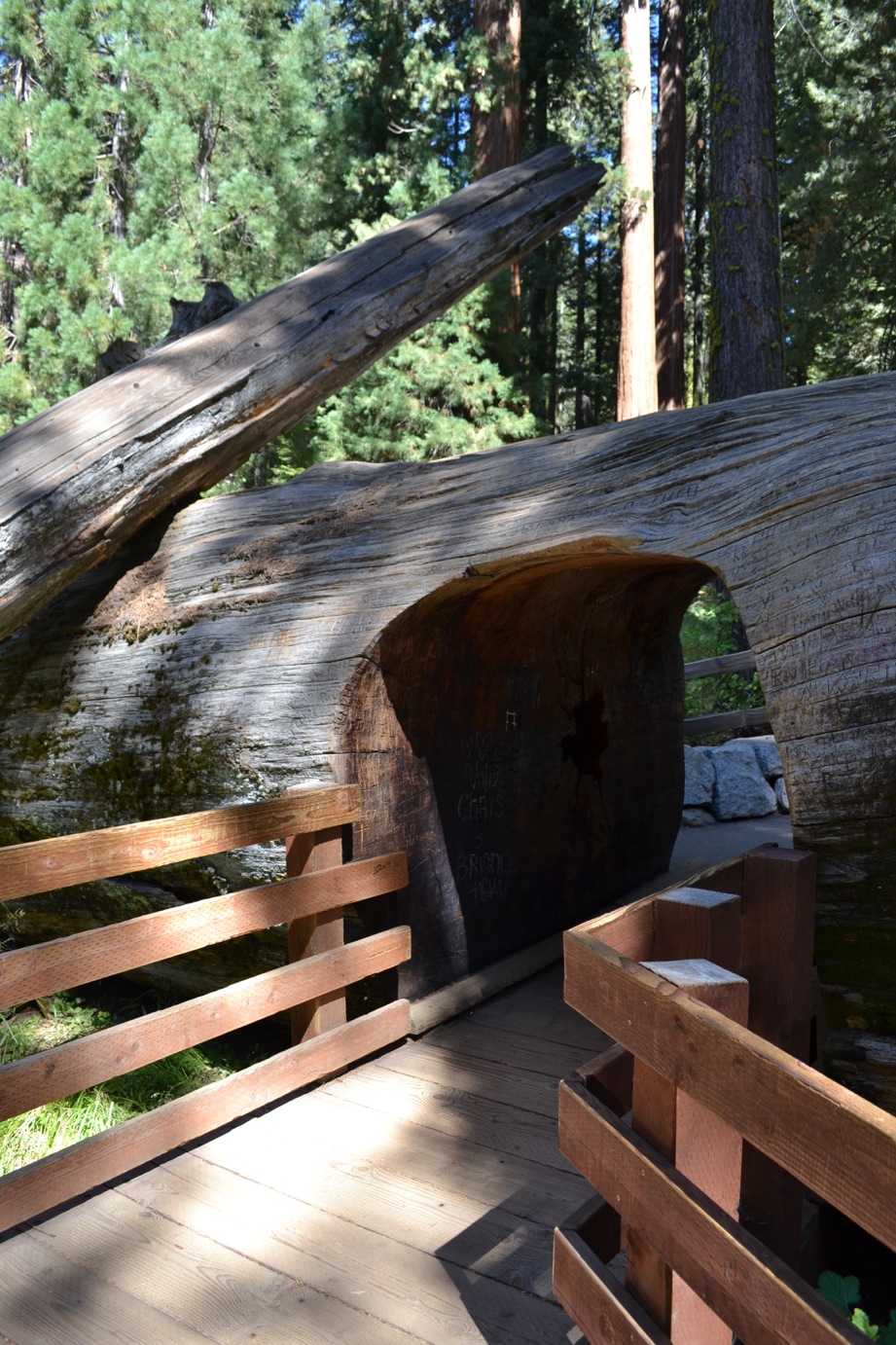 DSC_0032_2-blog