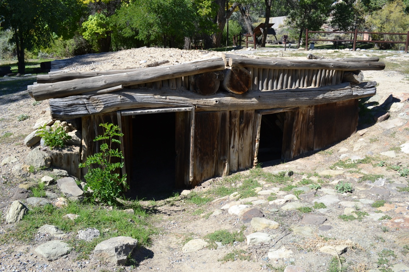 DSC_0040-blog