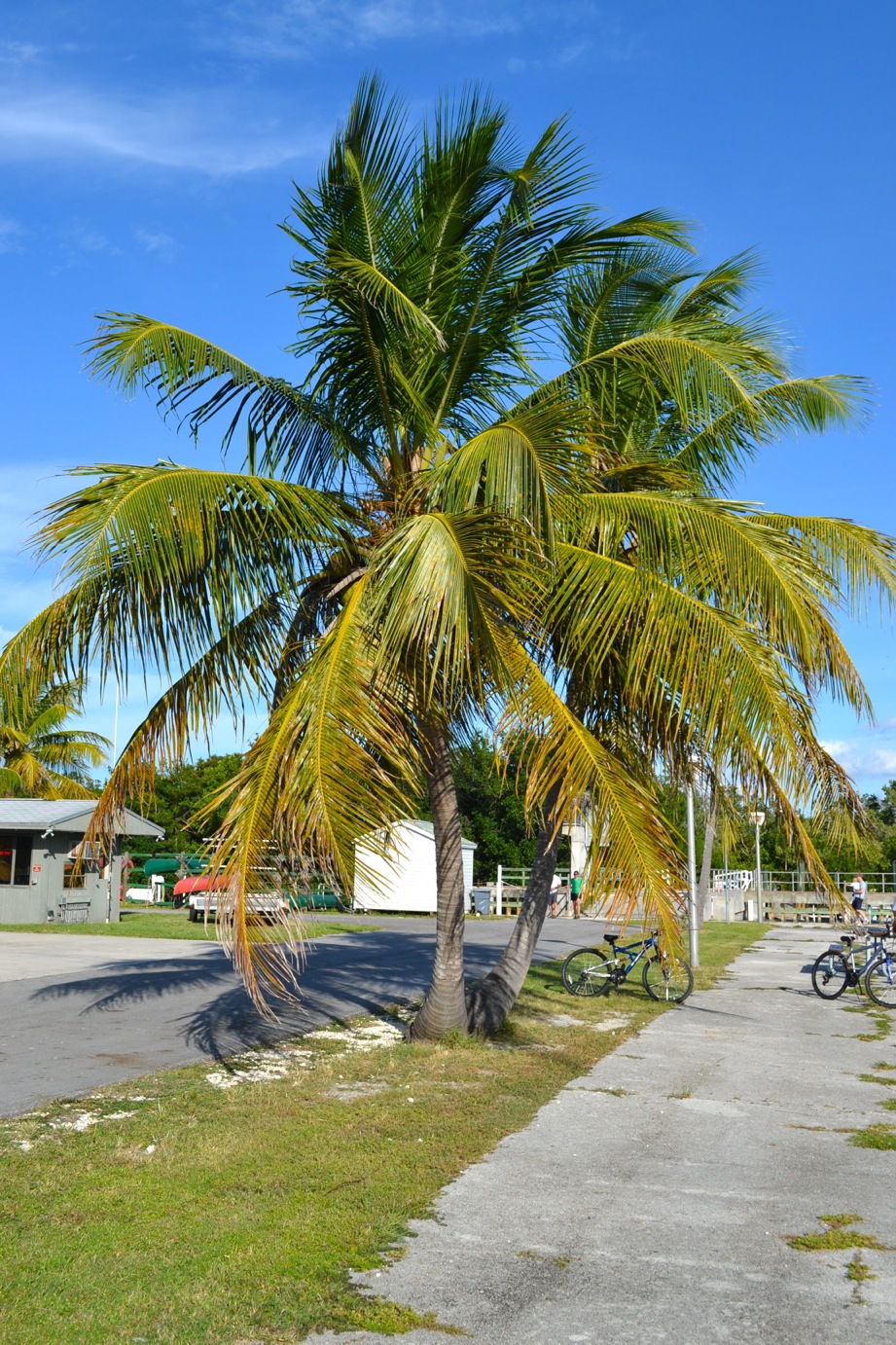 DSC_0040-blog