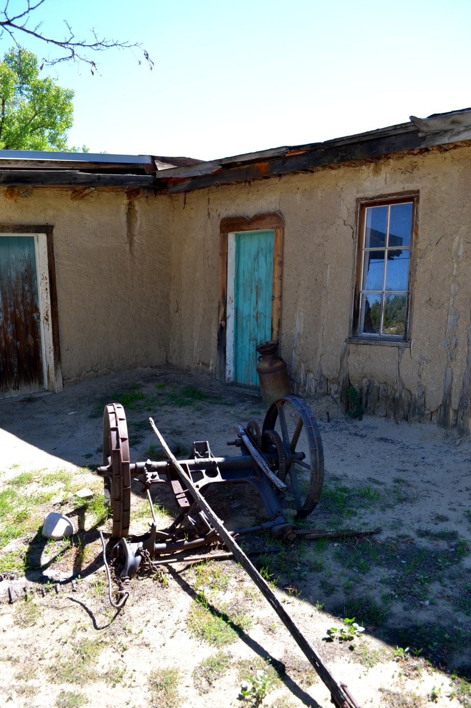 DSC_0042-blog