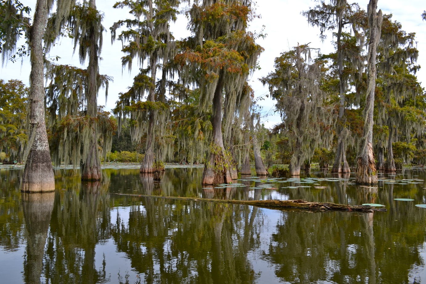 DSC_0042-blog
