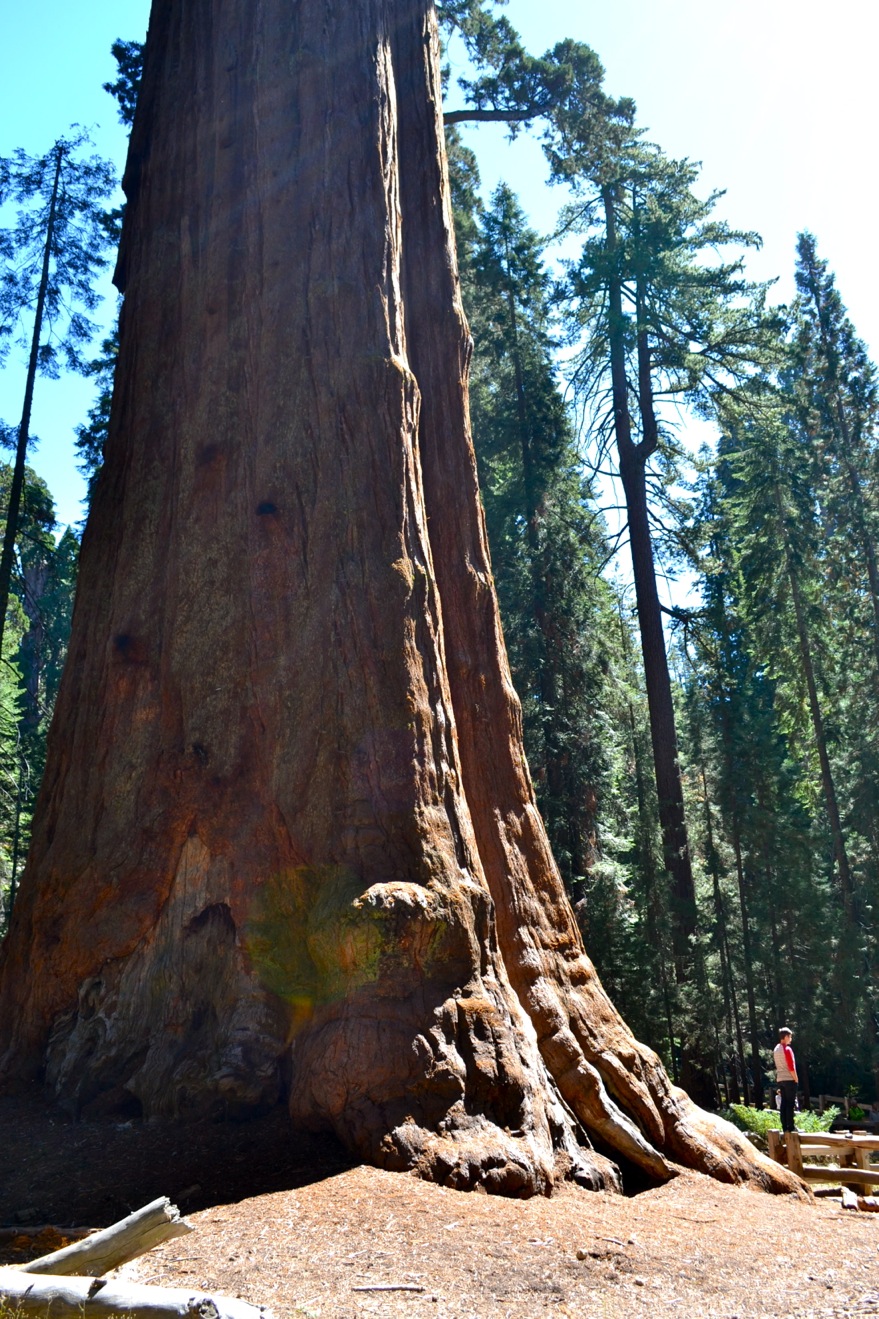 DSC_0047_2-blog
