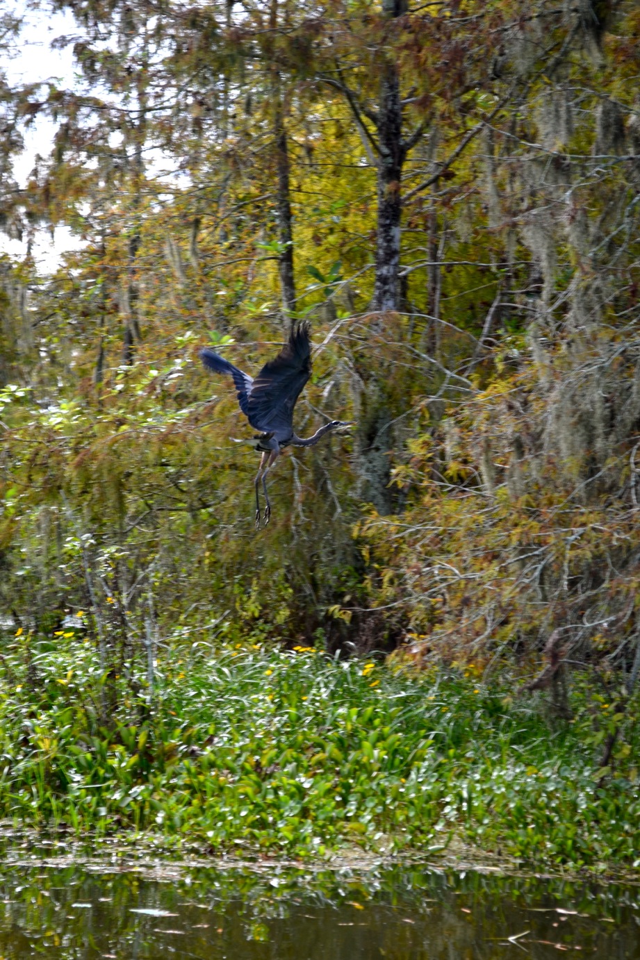 DSC_0070-blog