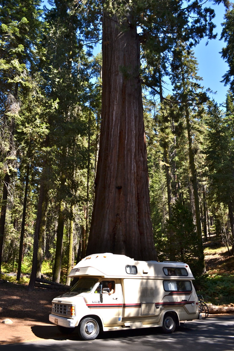 DSC_0074_2-blog