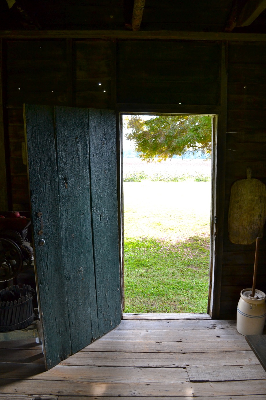 DSC_0286-blog