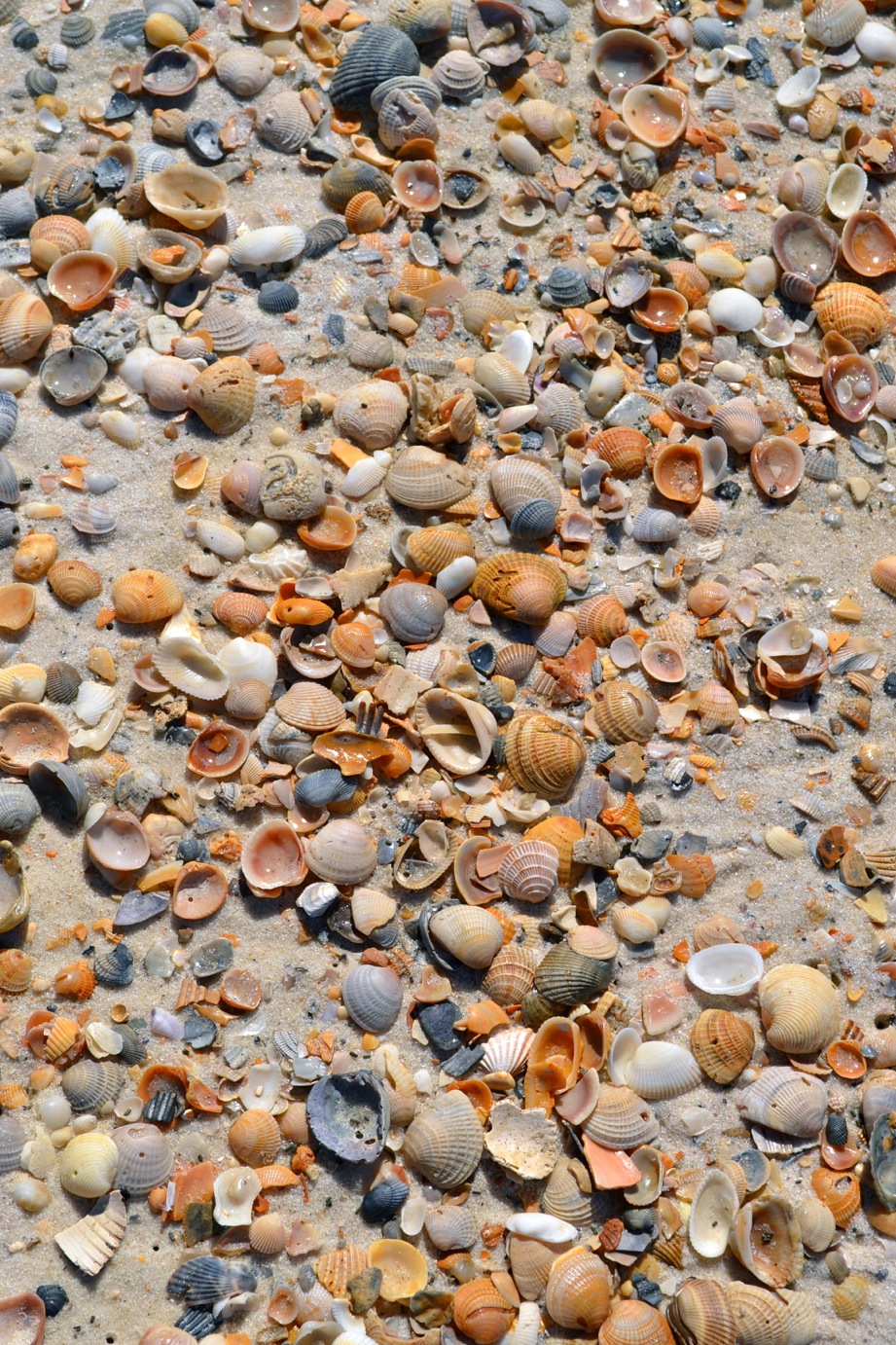 DSC_0471-blog