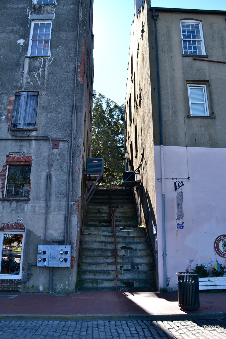 DSC_0038-blog