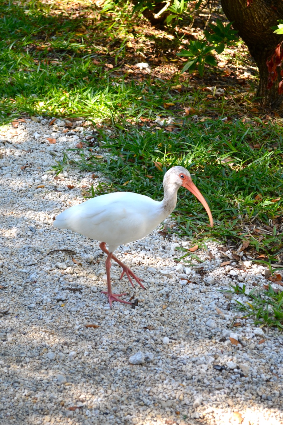 DSC_0047-blog