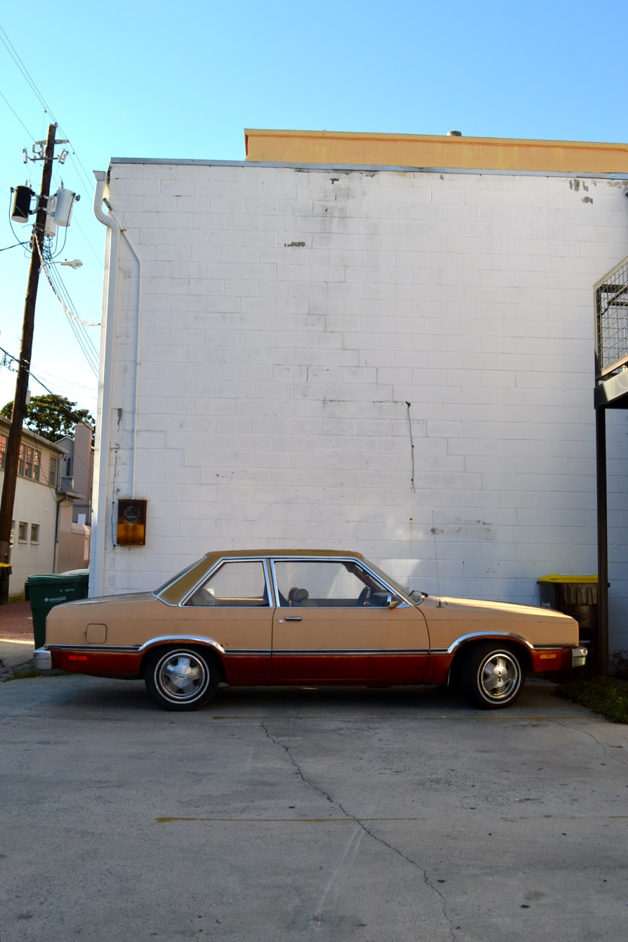 DSC_0107-blog