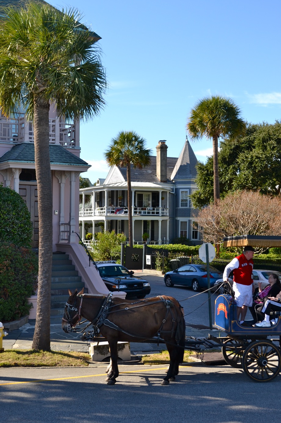 DSC_0217-blog