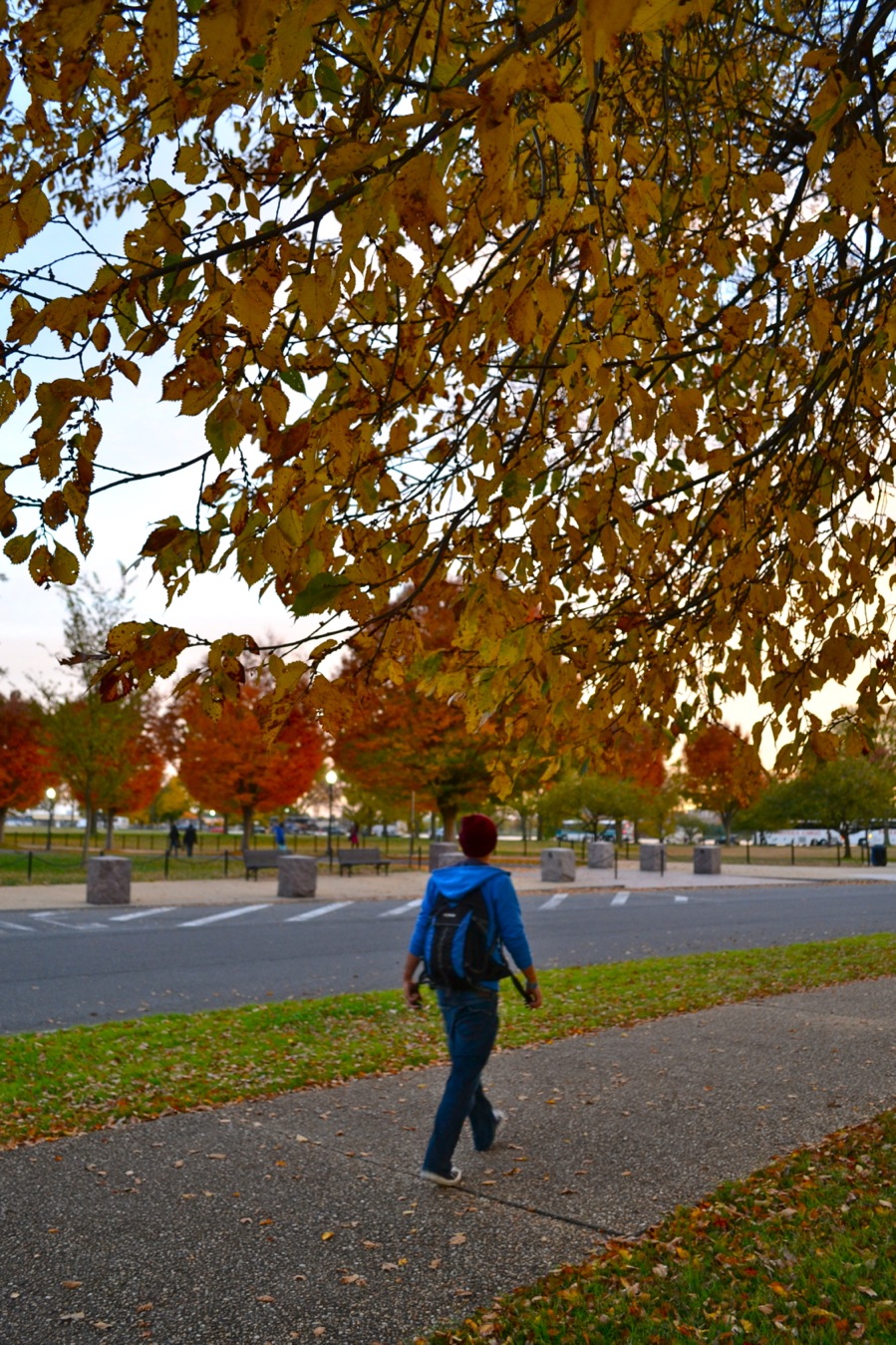 DSC_0343-blog