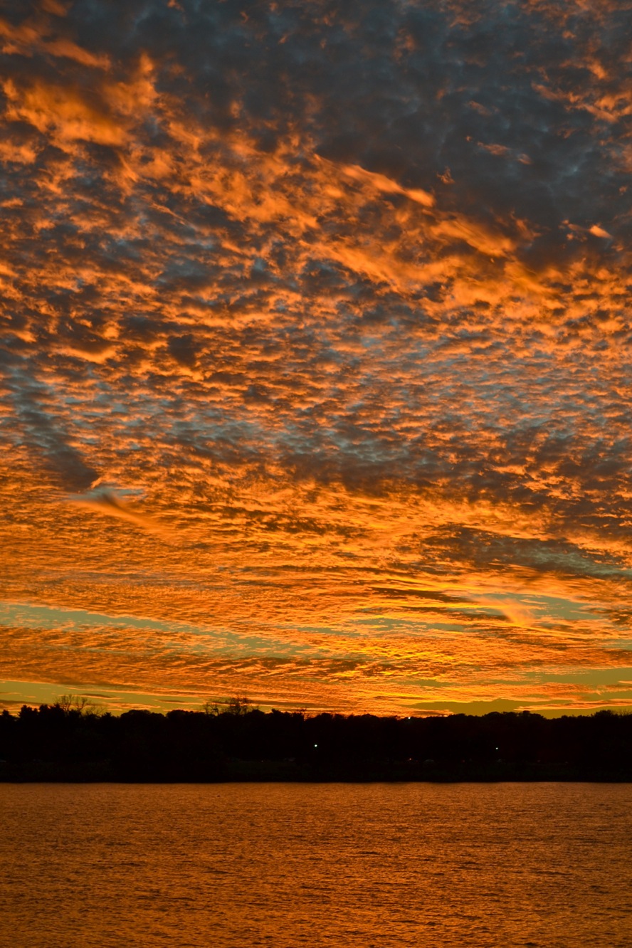 DSC_0362-blog